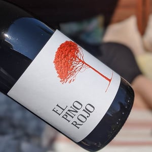 El Pino Rojo - Barranco Oscuro - manuel-lorenzo-valenzuela