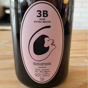3B Brut Nature Blanc de Blancs - Filipa Pato - filipa-pato-william-wouters