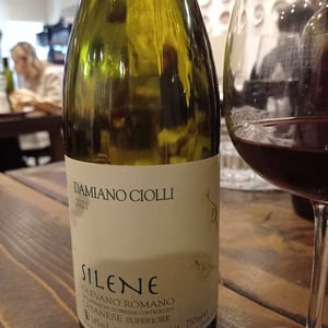 Silene - Damiano Ciolli - damiano-ciolli