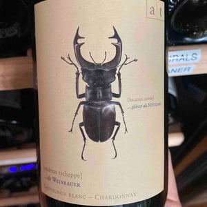 Hirschkäfer - Sauvignon Blanc/Chardonnay - Weingut Andreas & Elisabeth Tscheppe - andreas-elisabeth-tscheppe