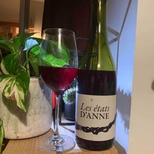 Les Etats d'Anne - Autour de l'Anne - Anne Leclerc Paillet 