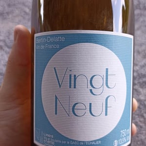 Vingt-neuf - Bertin Delatte - nicolas-bertin-genevieve-delatte
