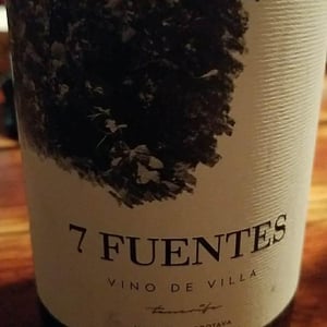 7 Fuentes - Bodegas Suertes Del Marques - jonatan-garcia-lima-luis-seabra