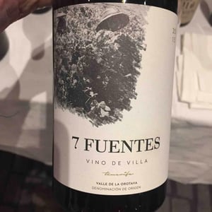 7 Fuentes - Bodegas Suertes Del Marques - jonatan-garcia-lima-luis-seabra