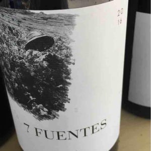 7 Fuentes - Bodegas Suertes Del Marques - jonatan-garcia-lima-luis-seabra