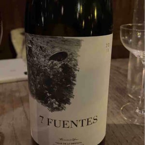 7 Fuentes - Bodegas Suertes Del Marques - jonatan-garcia-lima-luis-seabra