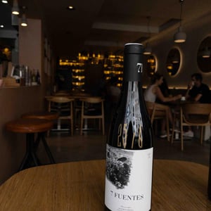 7 Fuentes - Bodegas Suertes Del Marques - jonatan-garcia-lima-luis-seabra