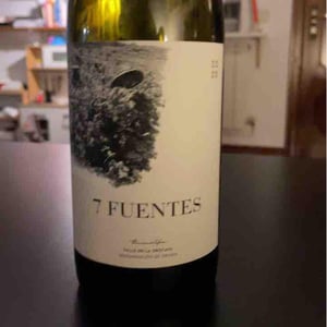 7 Fuentes 2020