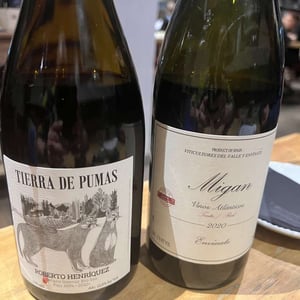 Tierra De Pumas - Roberto Henriquez - roberto-henriquez