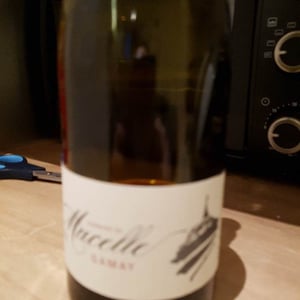 Gamay - Domaine De Mucelle - frederic-pericard