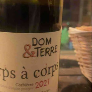 Corps À Corps - Dom&Terre - Dominique Terrier 