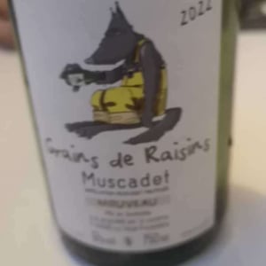 Grains de Raisins - Domaine Jo Landron - jo-landron