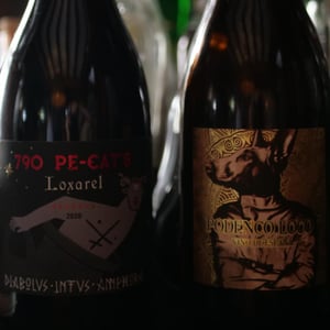 790 Pe-cats - Loxarel - josep-mitjans