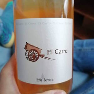 El Carro - Bodegas Bernabé Navarro SL - Rafa Bernabé 