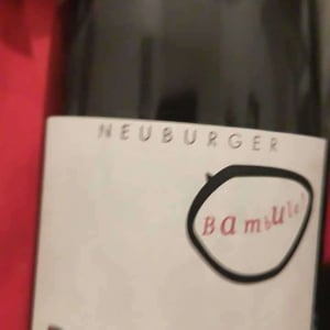 Bambule ! Neuburger - Weingut Beck - Judith Beck -2020
