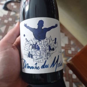 Beaujolais-villages - Domaine Des Moriers - domaine-des-moriers