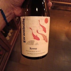 Rover - Cava Garambullo - Branko & Natalia Pjanic 