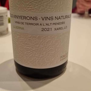 Els Vinyerons / Sin Project - Amós Bañeres Merinero & Alex Ruiz Masachs - Lluerna