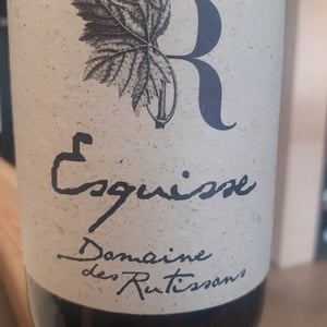 Esquisse - Domaine Des Rutissons - Laurent Fondimare et Wilfrid Debroize -2020