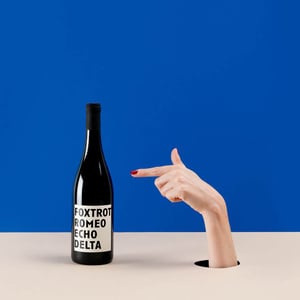 FRED - Domaine Frédéric Mabileau - Rémy Mabileau -2021