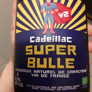 Super bulle - Domaine De Cadeillac - bertrand-henry -2024