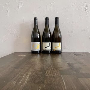 Pierre Précieuse - Domaine Alexandre Bain - alexandre-bain