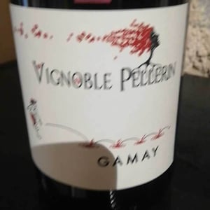 Gamay - Vignoble Pellerin - jean-christophe-baptiste-lucien-pellerin
