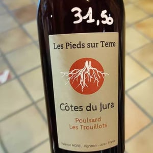 Poulsard En Trouillots Bâtard - Les Pieds Sur Terre - valentin-morel