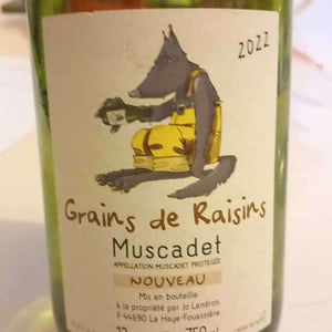 Grains de Raisins - Domaine Jo Landron - jo-landron