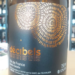 Decibels - Bertin Delatte - Nicolas Bertin & Geneviève Delatte -2020