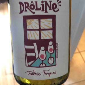 Drôline 2021 - Domaine de la Méchinière - Louis et Valérie Forgues -2021