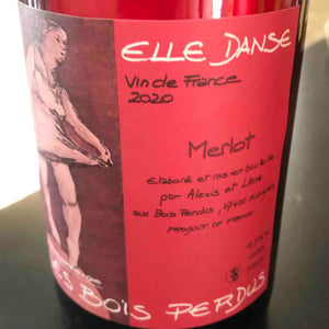 Elle Tremble - Les Bois Perdus - lena-perdu-alexis-robin