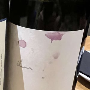 Zweigelt Kieselstein - Weingut Claus Preisinger - claus-preisinger