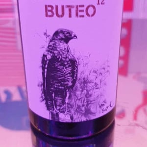 Buteo - Sol - Michael Gindl 