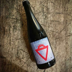 Morgen - Meinklang - Weingut Michlits - angela-werner-michlits