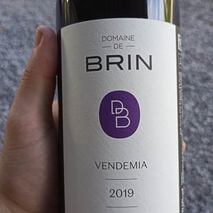 Vendemia - Domaine de Brin - damien-bonnet