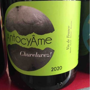 Churelurez - AntocyÂme - Muriel Zoldan 