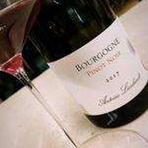 Bourgogne Pinot Noir - Antoine Lienhardt - Antoine Lienhardt 
