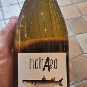 Mahara - Bodega Vinificate - Mahara Viticultores - jose-miguel-gomez