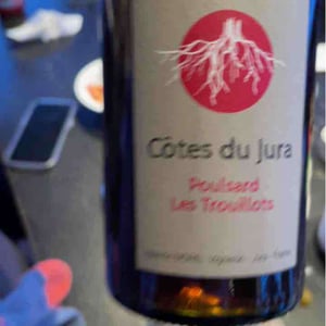 Poulsard Les Trouillots - Les Pieds Sur Terre - Valentin Morel 