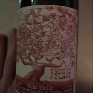 Vecchi Filari - Cantina Ortaccio - massimo-antonuzi-patrizia-montanari