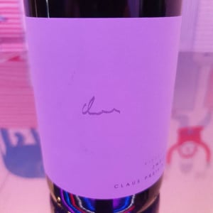 Zweigelt Kieselstein - Weingut Claus Preisinger - claus-preisinger