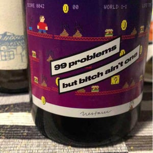 99 problems but Bitch ain't one - Milan Nestarec - milan-nestarec -2017