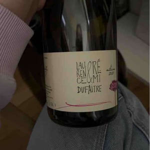 Côte de Brouilly - Domaine de Botheland - remi-dufaitre-laurence-liatard