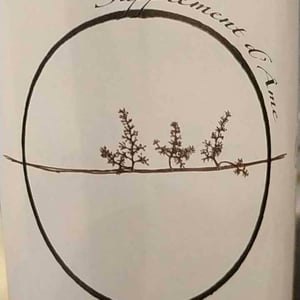 Supplément d'Âme - Vignoble des Vernusses - Loren PETIT -2022