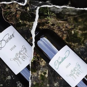 Ondenc - Domaine Plageoles - bernard-florent-romain-plageoles
