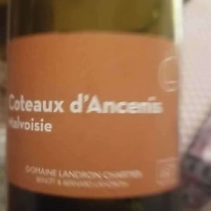 Coteaux d’Ancenis - Domaine Landron-Chartier - Bernard, Françoise & Benoit Landron 
