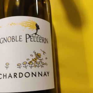 Chardonnay - Vignoble Pellerin - Jean-Christophe, Baptiste & Lucien Pellerin 