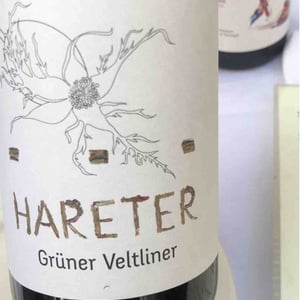 Grüner Veltliner - Weingut Hareter Thomas - Claudia & Thomas Hareter -2021