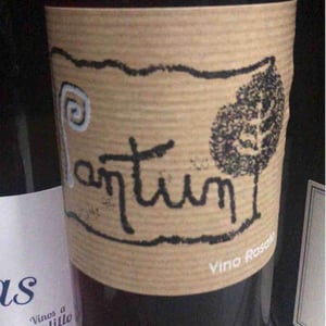 Pantun Rosato - Cantina Pantun - domenico-caragnano